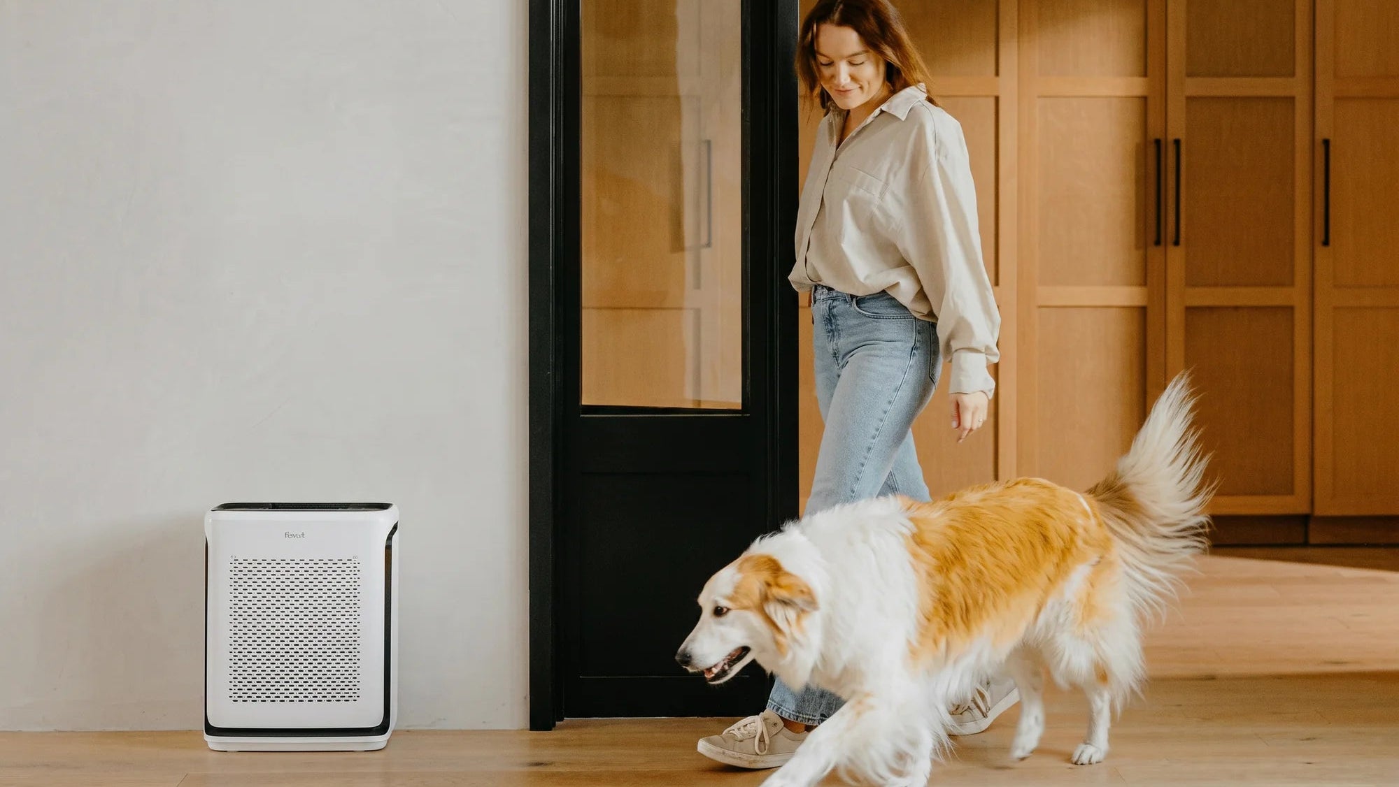 levoitairpurifier.it.com