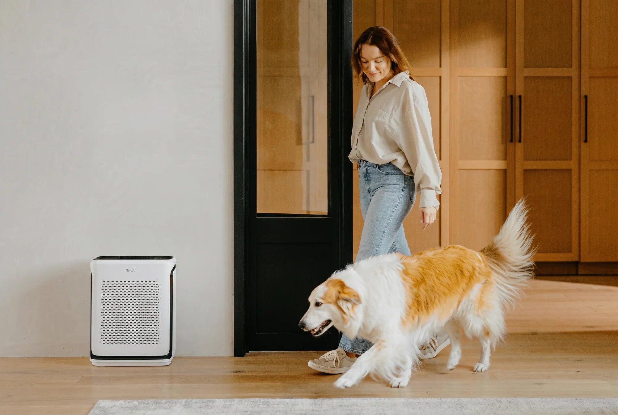  levoitairpurifier.it.com