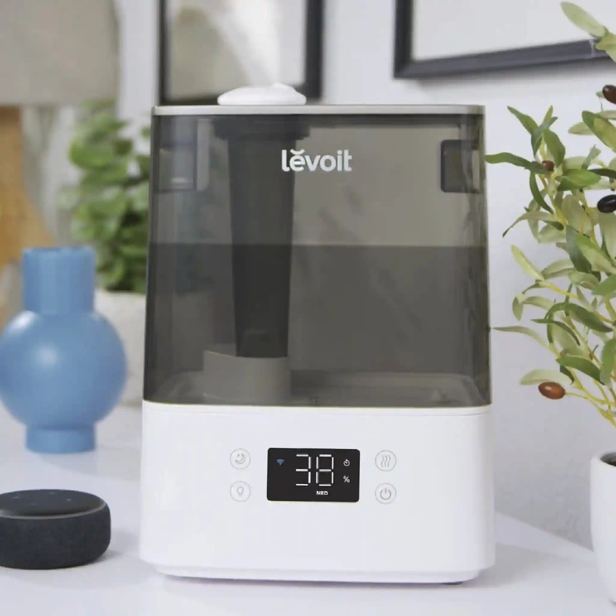  levoitairpurifier.it.com