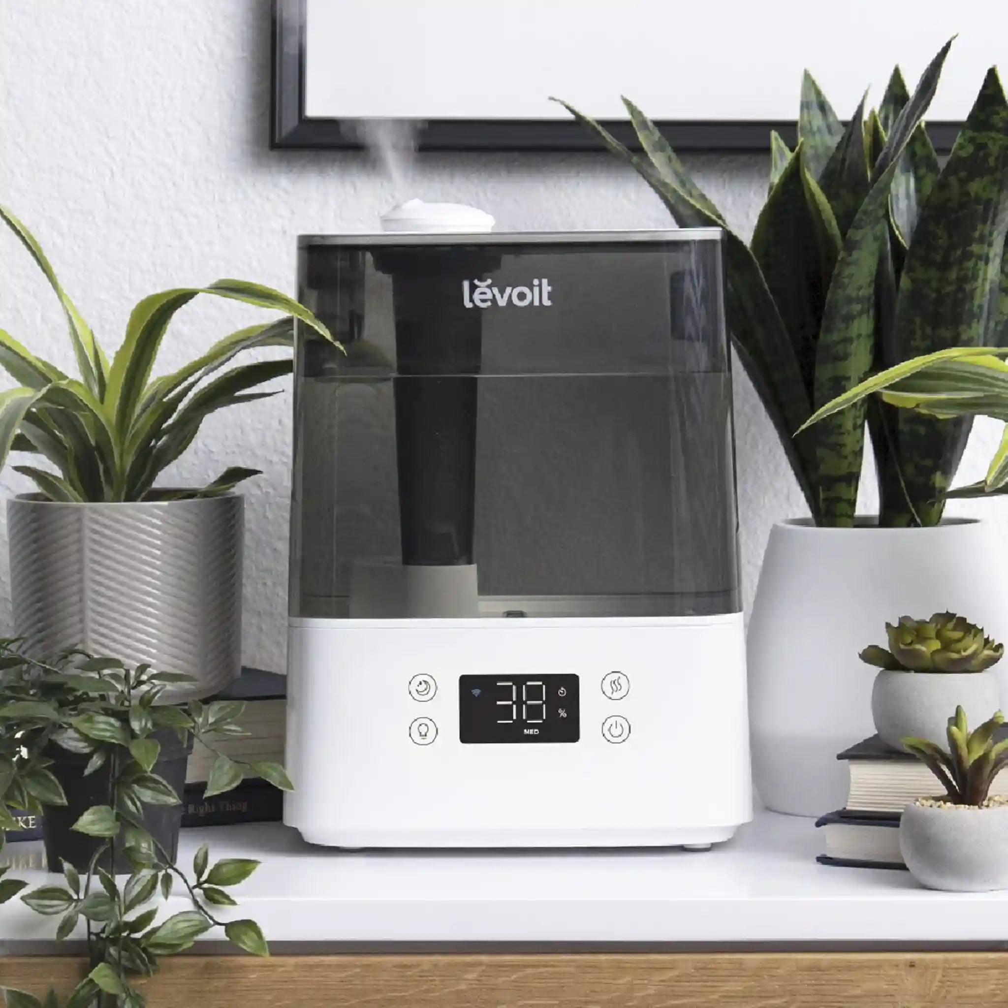  levoitairpurifier.it.com
