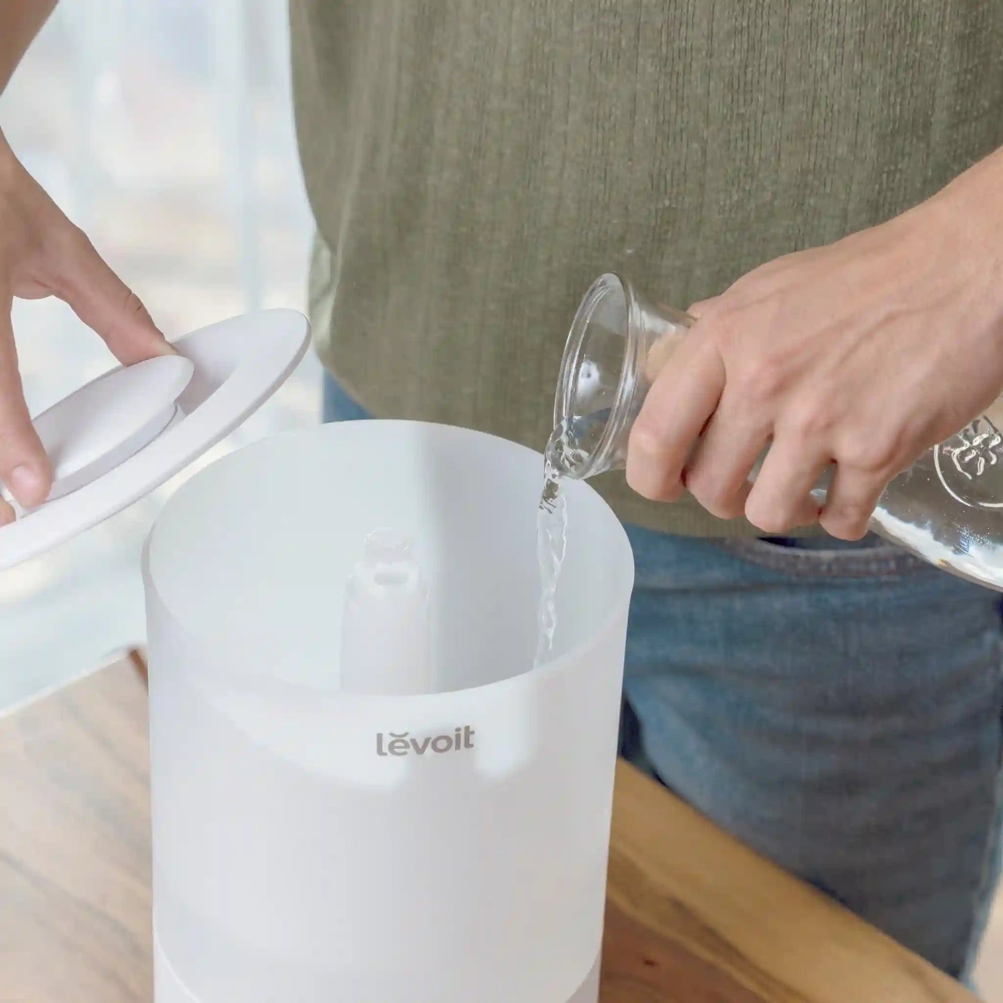  levoitairpurifier.it.com