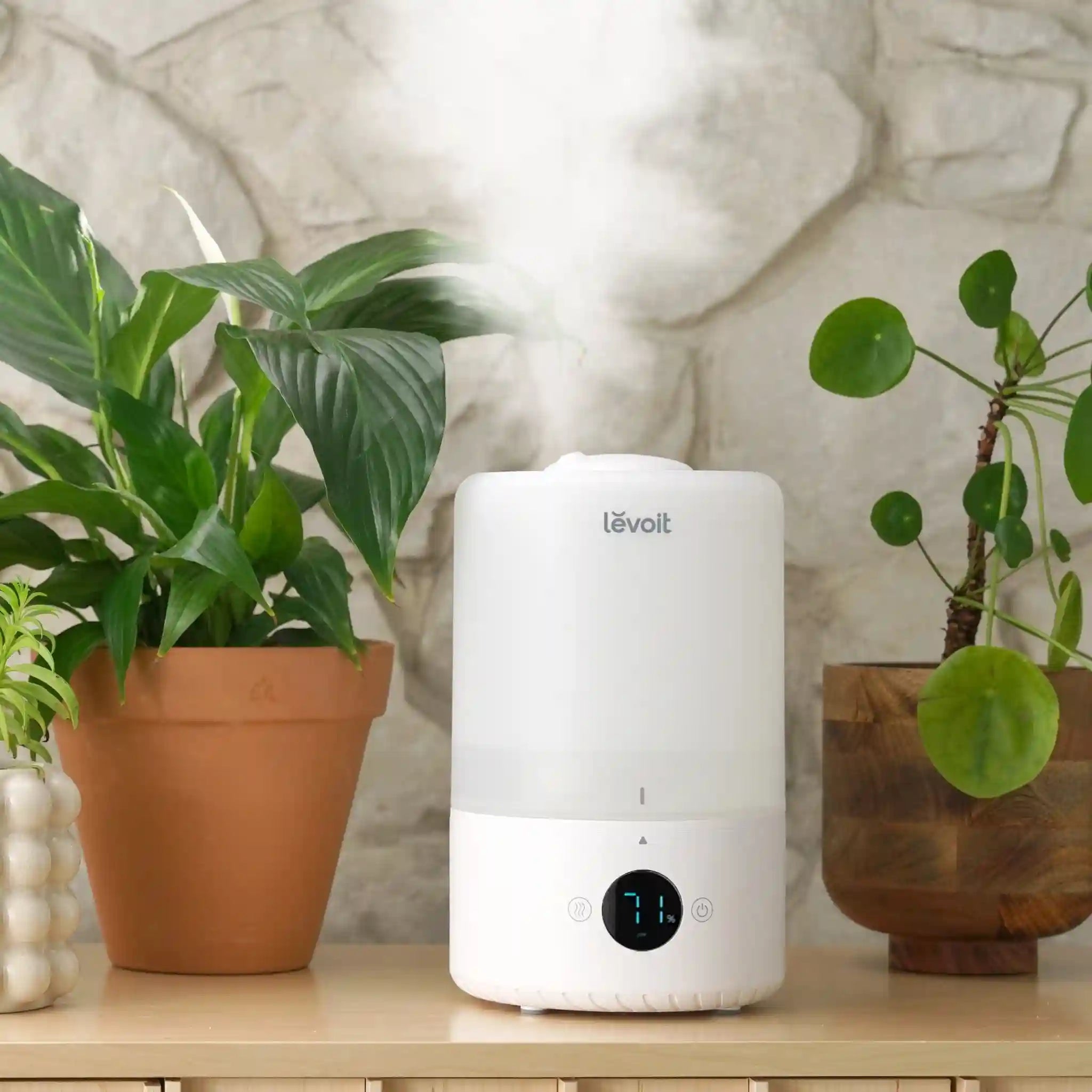  levoitairpurifier.it.com