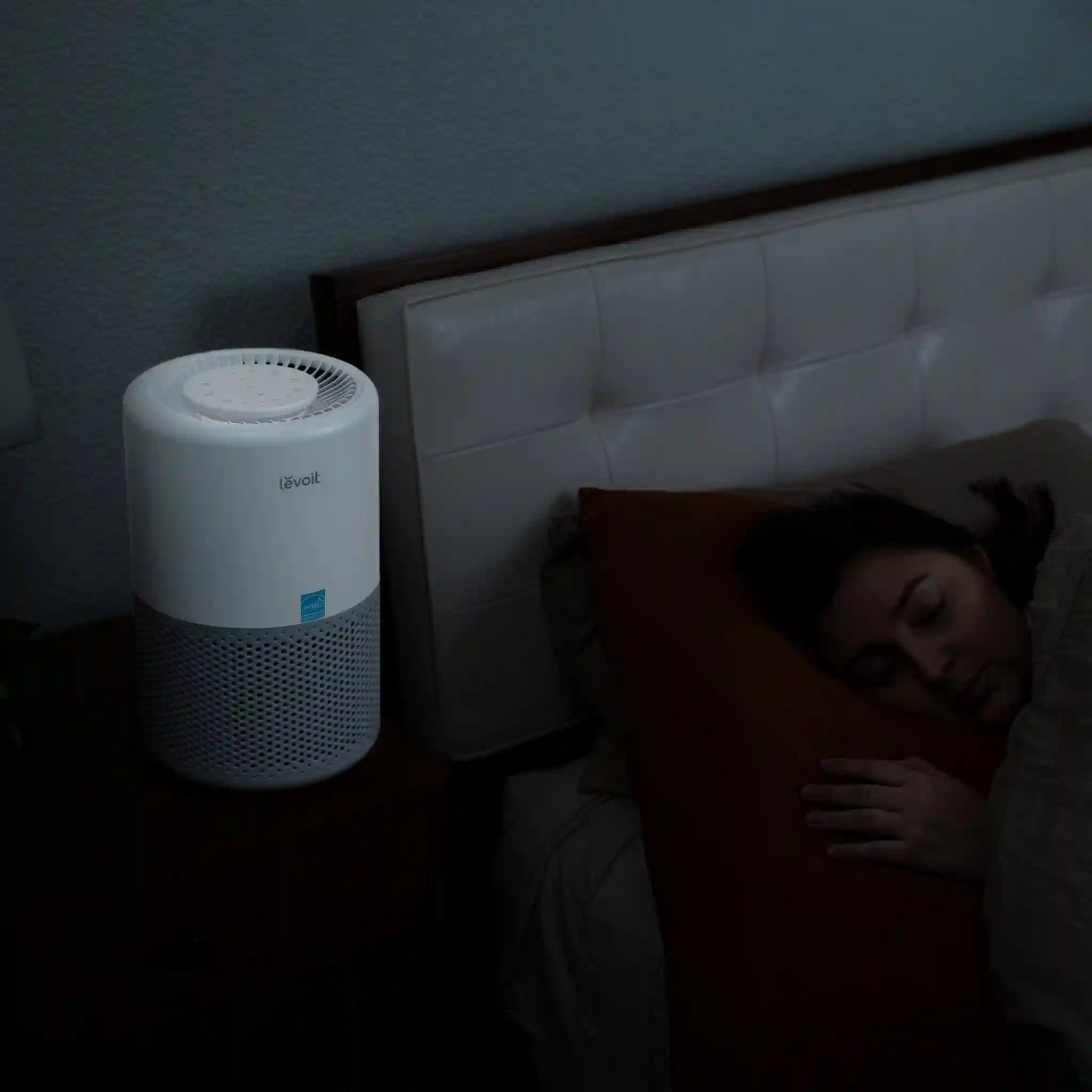  levoitairpurifier.it.com