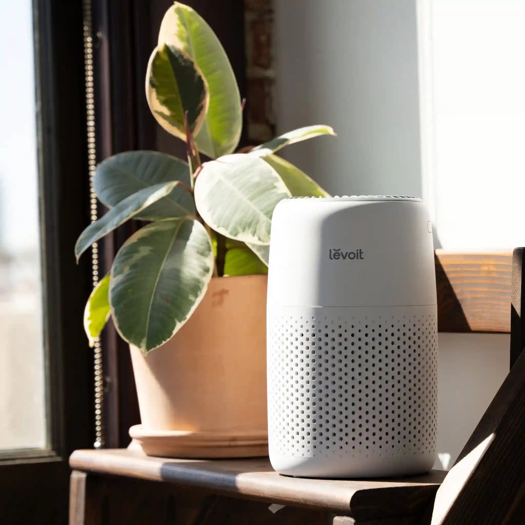  levoitairpurifier.it.com