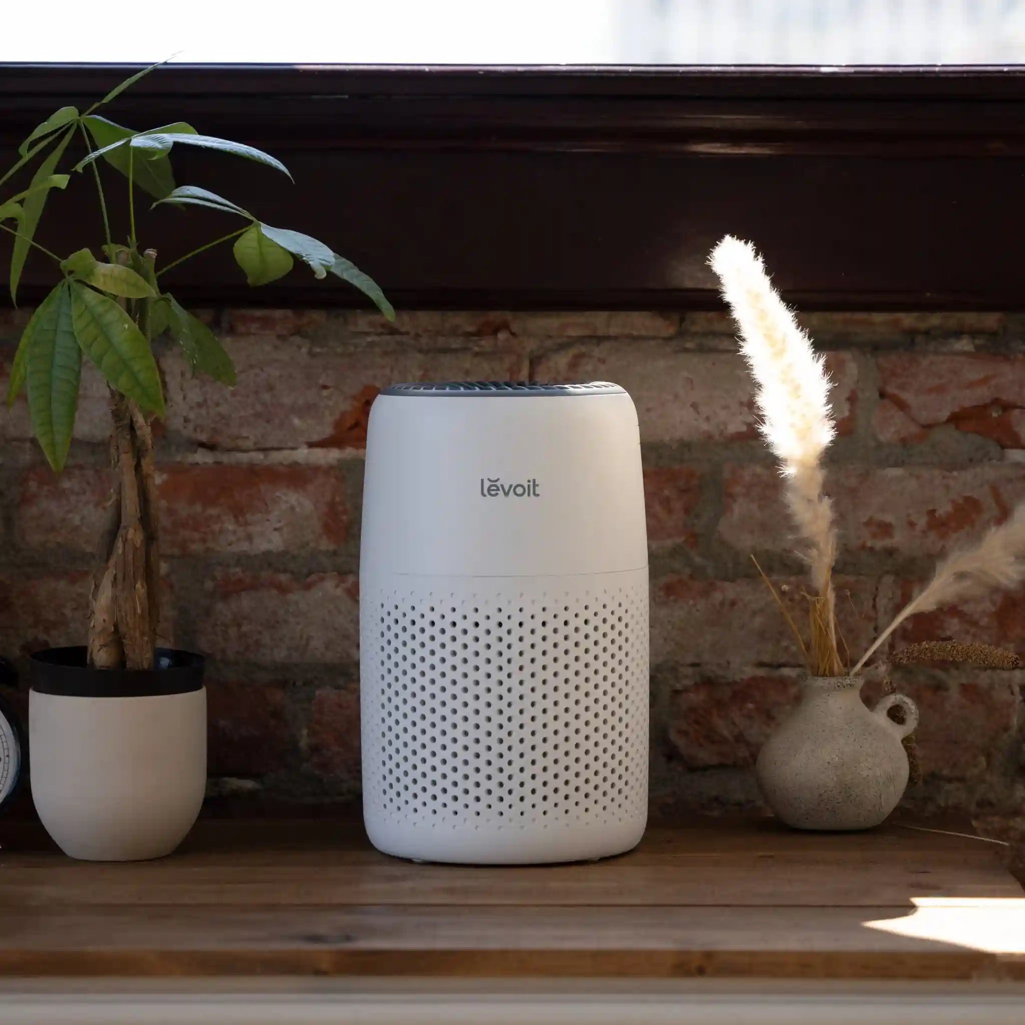  levoitairpurifier.it.com