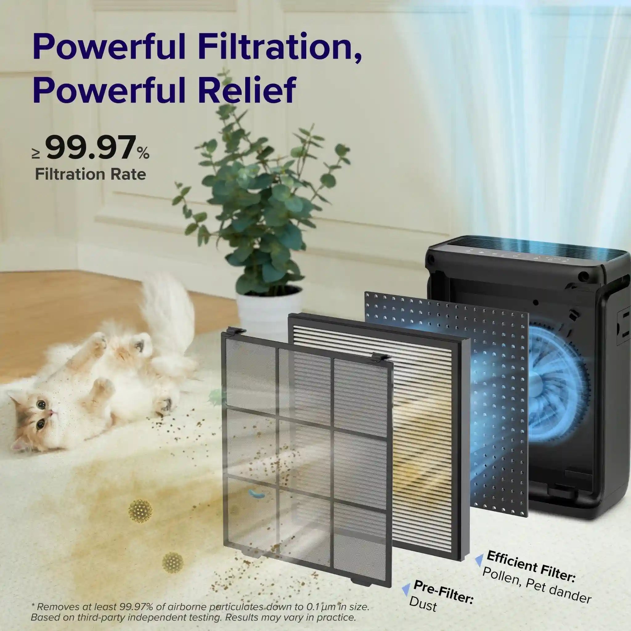 levoitairpurifier.it.com