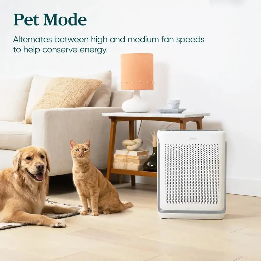  levoitairpurifier.it.com