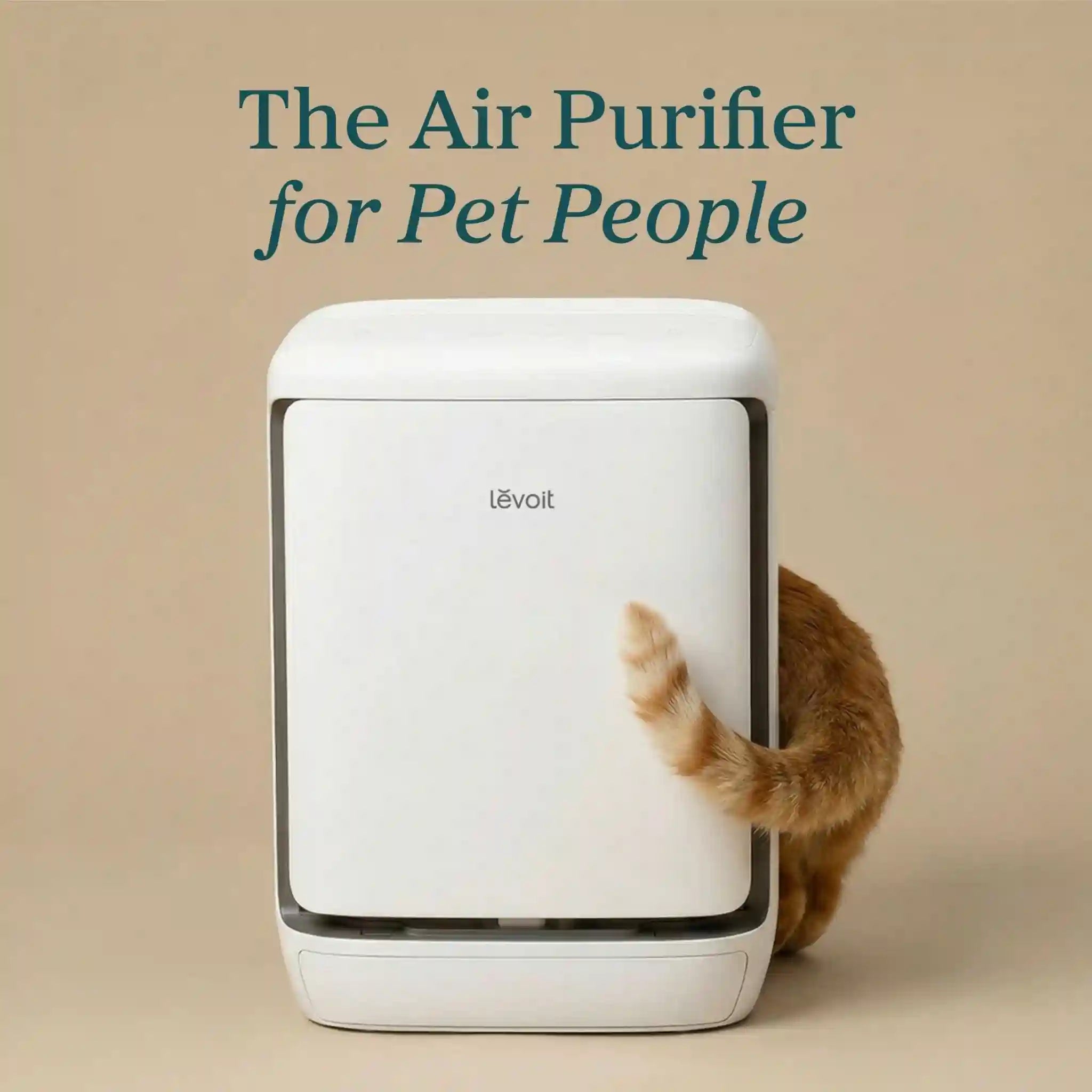  levoitairpurifier.it.com