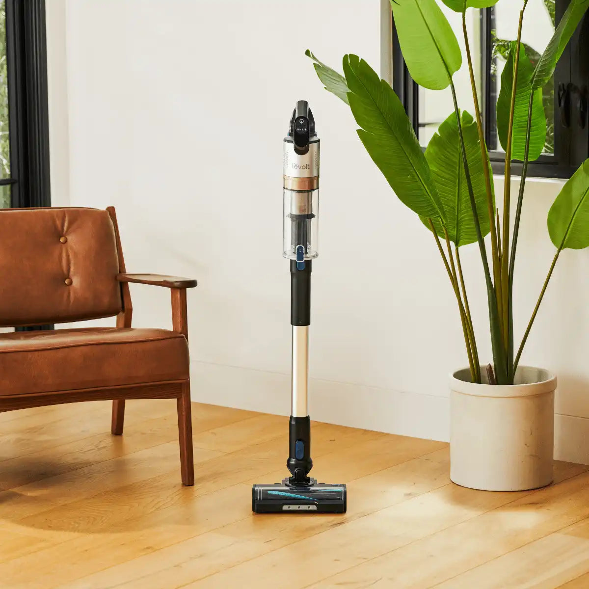  levoitairpurifier.it.com