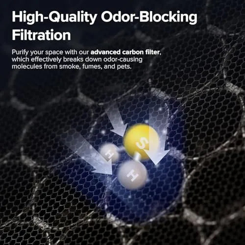  levoitairpurifier.it.com