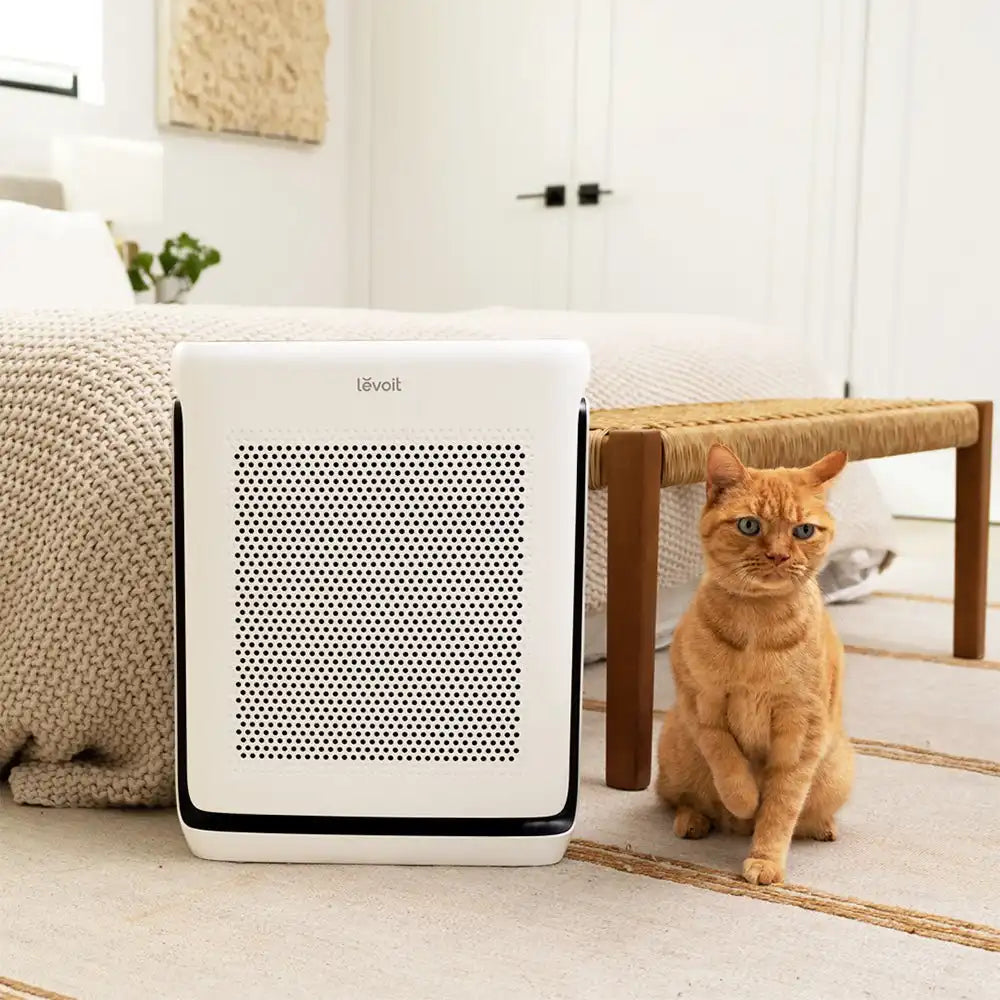  levoitairpurifier.it.com